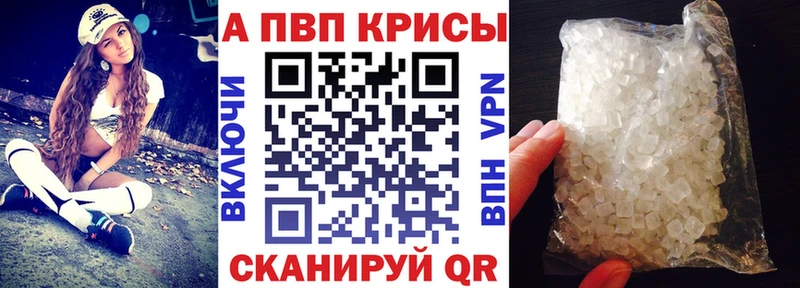 A PVP СК КРИС Каменногорск