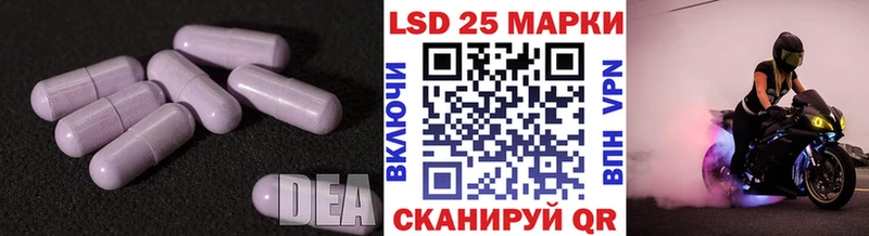 продажа наркотиков  Каменногорск  Лсд 25 экстази ecstasy 
