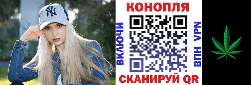 Канабис Bruce Banner где продают наркотики Каменногорск
